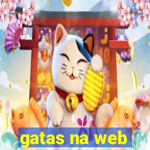 gatas na web